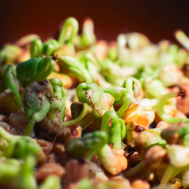 BIO Zaļie griķi (350g)