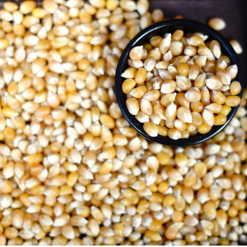 BIO Popkorna graudi (sveramie)