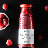 Bio sulu eliksīrs ar antioksidantiem (250ml)